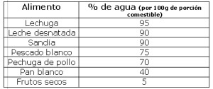 ¿Cuánta agua contienen los alimentos? Farmacias.com